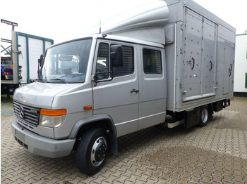 Horse truck MERCEDES-BENZ Vario