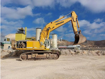 Aerial platform Liebherr R954CHD: picture 2
