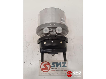 Brake cylinder DAF
