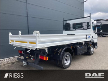 Tipper DAF XB 210 FA 7,49to Meiller DSK Typ 3 XB 210 FA 7,4: picture 4