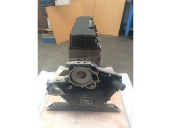 Engine MOTORE MAN D0834LFL52: picture 2