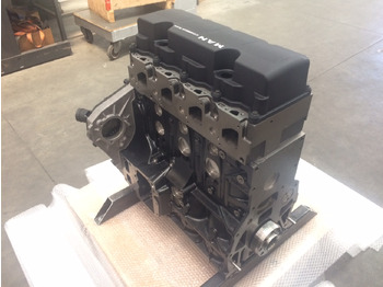 Engine MOTORE MAN D0834LFL52: picture 5