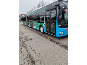 Articulated bus MAN Lion's City A23