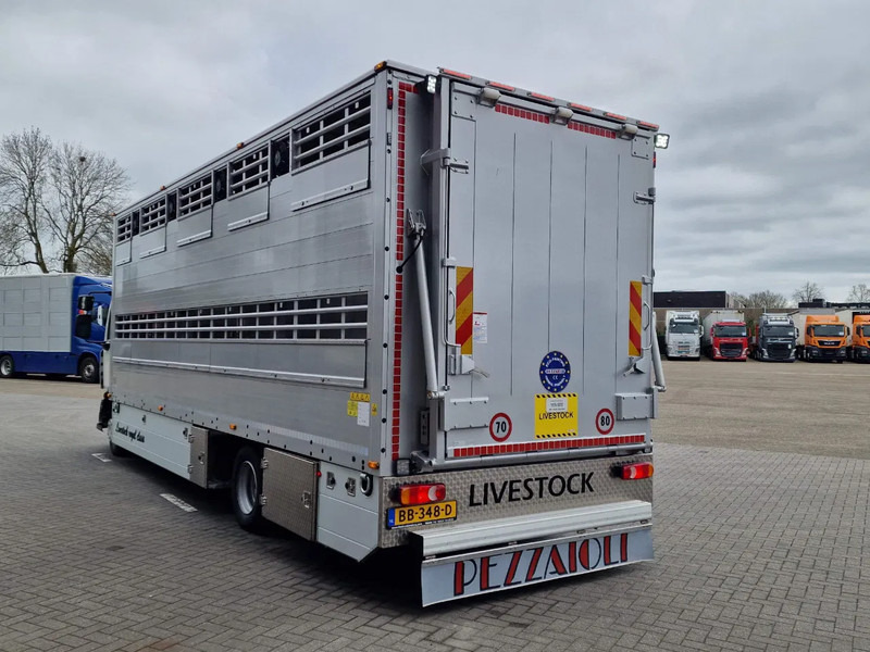 New Livestock truck Renault Midlum D210 4x2 - NEW - Pezzaioli 1 deck - Ventilation - 17.9M2 - Ramp - Euro6d: picture 6
