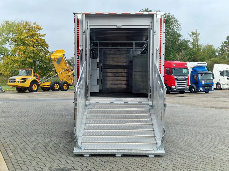 New Livestock truck Renault Midlum D210 4x2 - NEW - Pezzaioli 1 deck - Ventilation - 17.9M2 - Ramp - Euro6d: picture 9