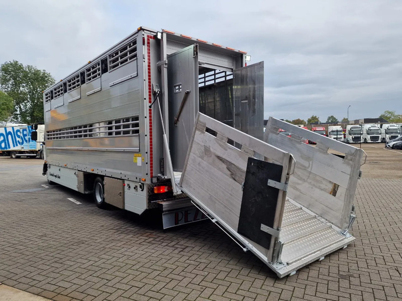 New Livestock truck Renault Midlum D210 4x2 - NEW - Pezzaioli 1 deck - Ventilation - 17.9M2 - Ramp - Euro6d: picture 7