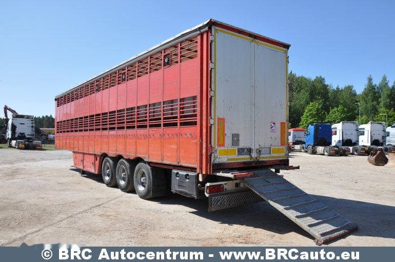 Pezzaioli SCT63U - Livestock semi-trailer: picture 4 Pezzaioli SCT63U - Livestock semi-trailer: picture 4