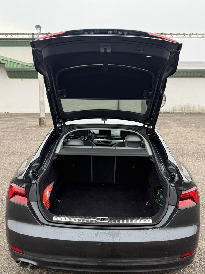 Car AUDI A5 Sportback 2.0 TDI Schräghecklimousine: picture 15