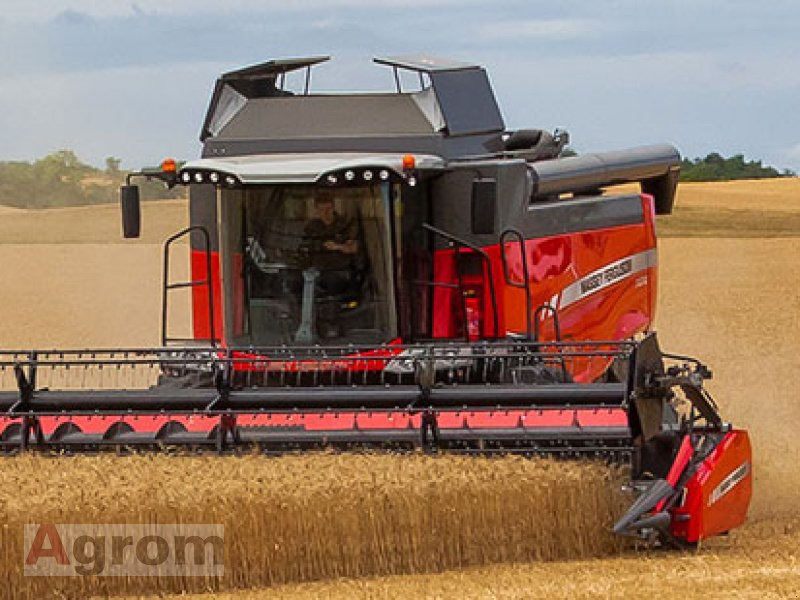 Massey Ferguson 7360 Beta - Combine harvester: picture 1 Massey Ferguson 7360 Beta - Combine harvester: picture 1