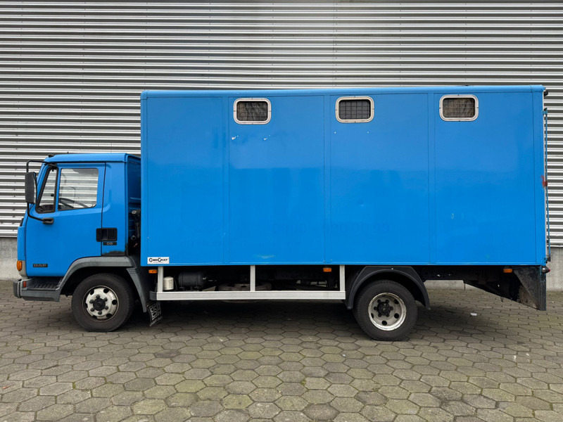 DAF LF45.130 / Horse Truck / 6 Cilinder / Manual Gearbox / Euro 2 / NL Trucks - Livestock truck: picture 5 DAF LF45.130 / Horse Truck / 6 Cilinder / Manual Gearbox / Euro 2 / NL Trucks - Livestock truck: picture 5