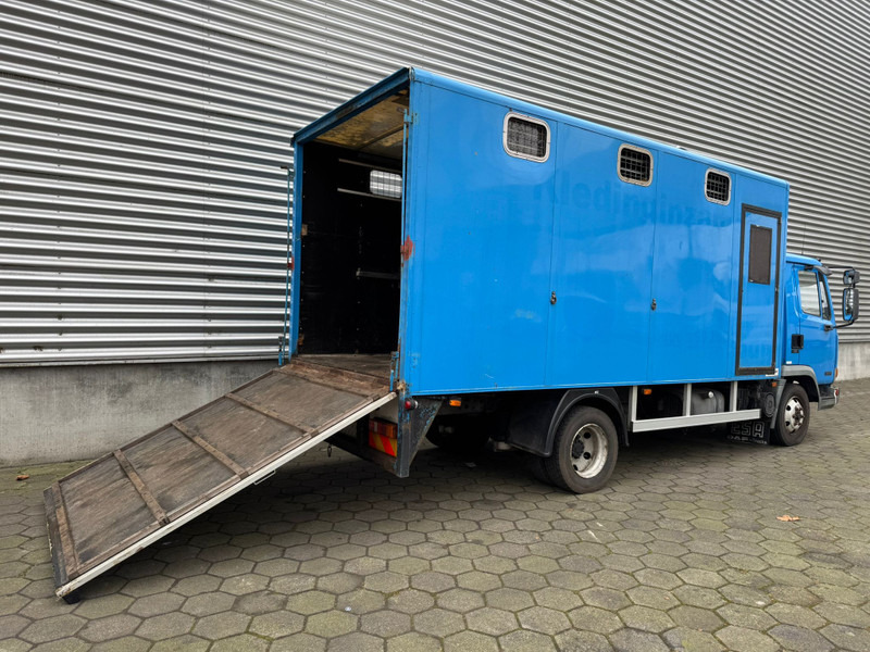 DAF LF45.130 / Horse Truck / 6 Cilinder / Manual Gearbox / Euro 2 / NL Trucks - Livestock truck: picture 3 DAF LF45.130 / Horse Truck / 6 Cilinder / Manual Gearbox / Euro 2 / NL Trucks - Livestock truck: picture 3
