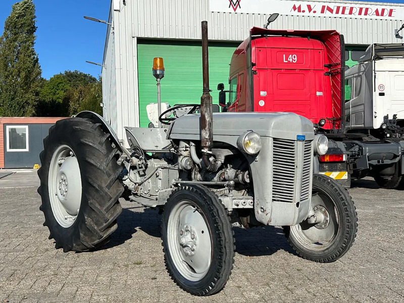 Diversen FERGUSON tractor - Farm tractor: picture 2 Diversen FERGUSON tractor - Farm tractor: picture 2
