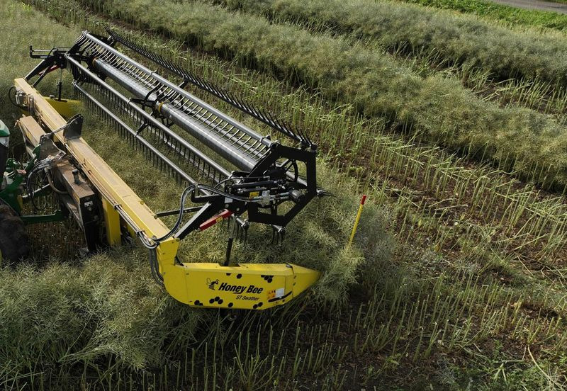 Honey Bee ST 25 - BANDSCHWADMÄHWERK - Grain header: picture 3 Honey Bee ST 25 - BANDSCHWADMÄHWERK - Grain header: picture 3