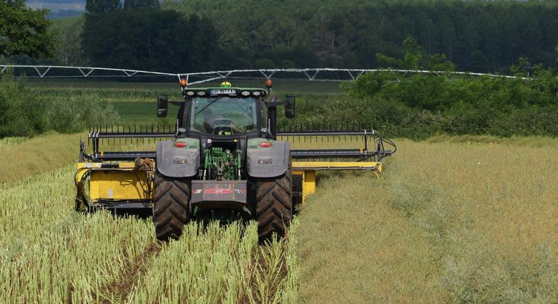 Honey Bee ST 25 - BANDSCHWADMÄHWERK - Grain header: picture 1 Honey Bee ST 25 - BANDSCHWADMÄHWERK - Grain header: picture 1