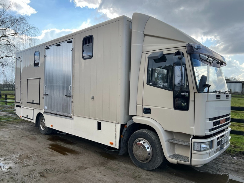 Iveco 120E18 - 3 HORSES - MANUAL - STEEL SUSPENSION - Box van: picture 2 Iveco 120E18 - 3 HORSES - MANUAL - STEEL SUSPENSION - Box van: picture 2