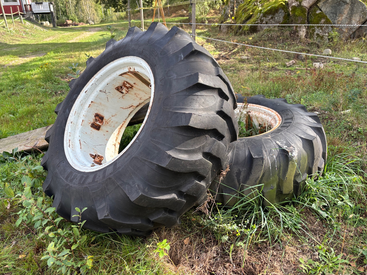 Titan - Tire for Agricultural machinery: picture 1 Titan - Tire for Agricultural machinery: picture 1