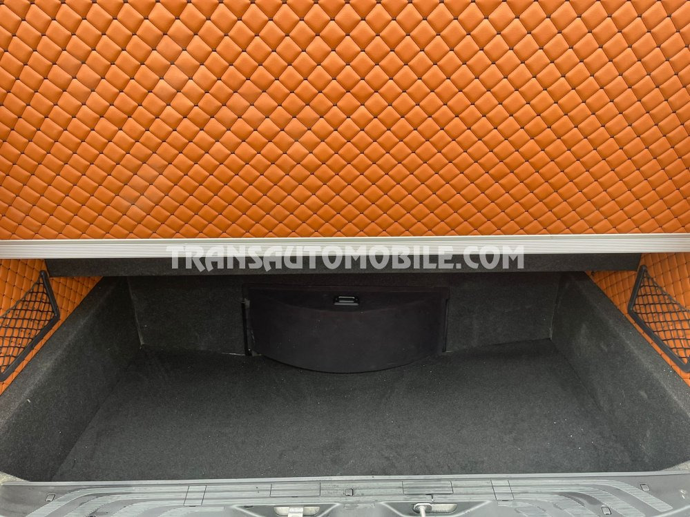 New Minibus, Passenger van Mercedes Benz Sprinter 519 CDI 2.2L DIESEL AUTOMATIQUE vip: picture 14