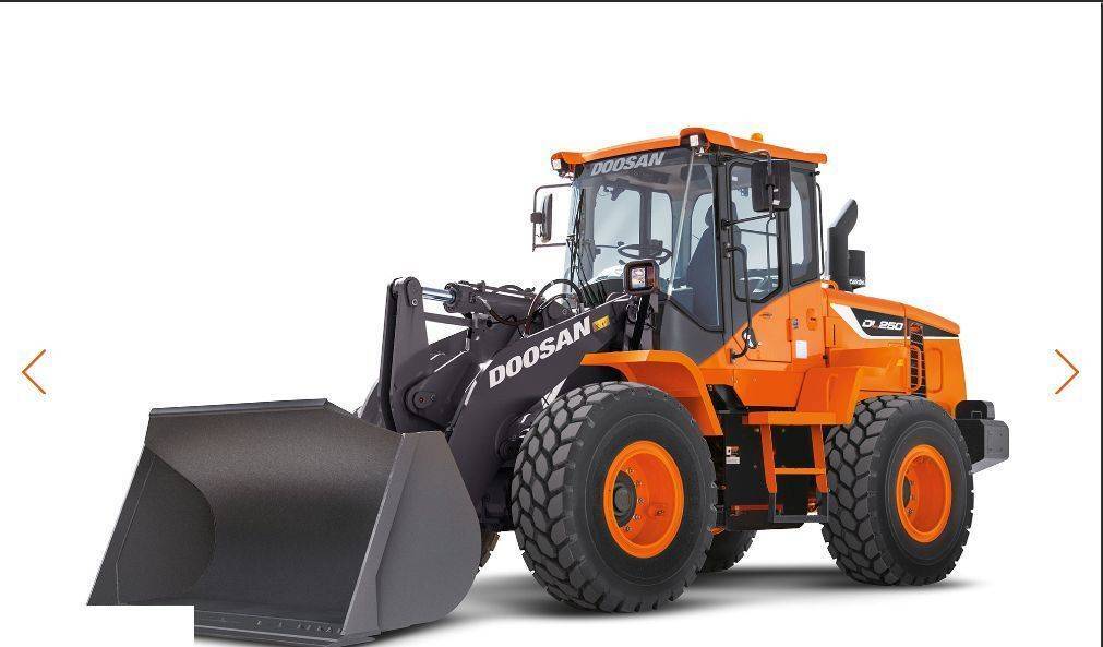 Spare parts for Wheel loader Doosan DL 250 -  Zwolnica - Zwrotnica - Półoś - Skrzynia - Silnik - Siłowniki: picture 11