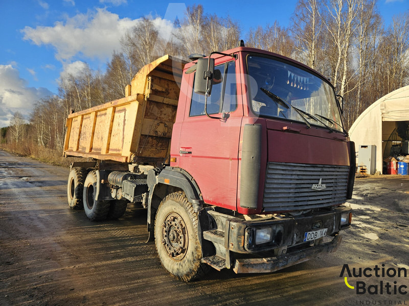 Maz 551669 - Tipper: picture 1 Maz 551669 - Tipper: picture 1