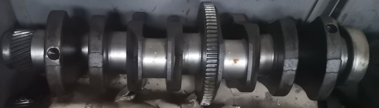 - Crankshaft for Truck: picture 1 - Crankshaft for Truck: picture 1