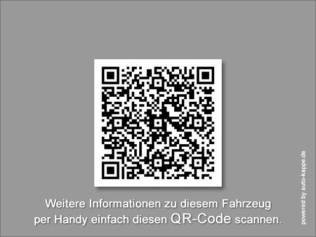 Curtain side van Renault Master Pritsche Schiebe Plane 10 Pal. LUFTFEDERUNG: picture 19