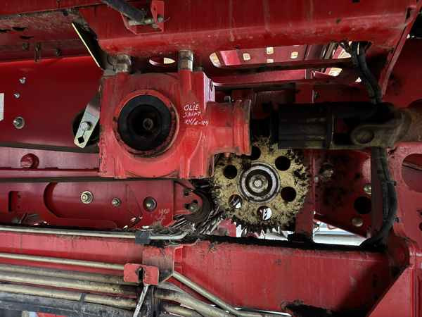 Grimme GT-170-M - Harvester: picture 2 Grimme GT-170-M - Harvester: picture 2