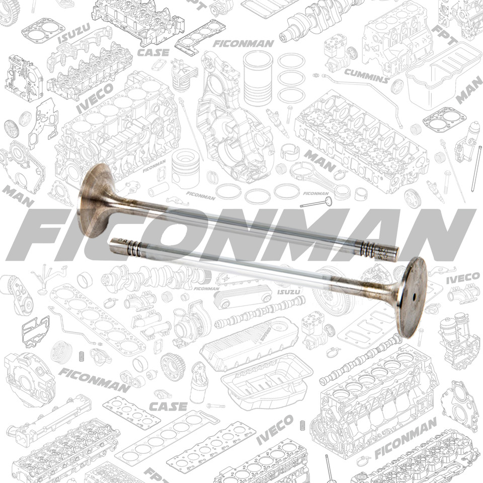 Ford Ford Trucks F-MAX ECOTORQ 9L Intake Valve 2C466507-CA ,T162806, 2C466507CA - Valve for Truck: picture 1 Ford Ford Trucks F-MAX ECOTORQ 9L Intake Valve 2C466507-CA ,T162806, 2C466507CA - Valve for Truck: picture 1