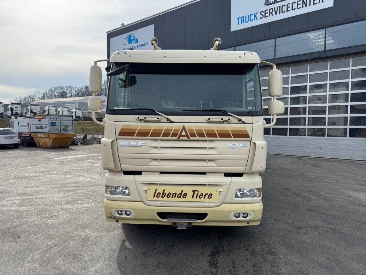 DAF CF410 4x2 - Livestock truck: picture 2 DAF CF410 4x2 - Livestock truck: picture 2