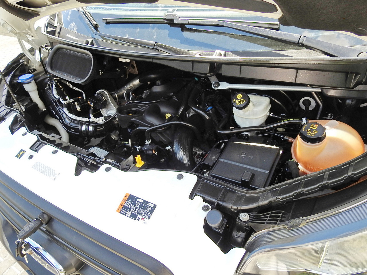 FORD TRANSIT REGRIGERATOR BOX 0*C POWER SUPPLY 230V CRUISE CONTROL AIR CONDITIONING TWIN WHEELS 170HP on lease FORD TRANSIT REGRIGERATOR BOX 0*C POWER SUPPLY 230V CRUISE CONTROL AIR CONDITIONING TWIN WHEELS 170HP: picture 28 FORD TRANSIT REGRIGERATOR BOX 0*C POWER SUPPLY 230V CRUISE CONTROL AIR CONDITIONING TWIN WHEELS 170HP on lease FORD TRANSIT REGRIGERATOR BOX 0*C POWER SUPPLY 230V CRUISE CONTROL AIR CONDITIONING TWIN WHEELS 170HP: picture 28