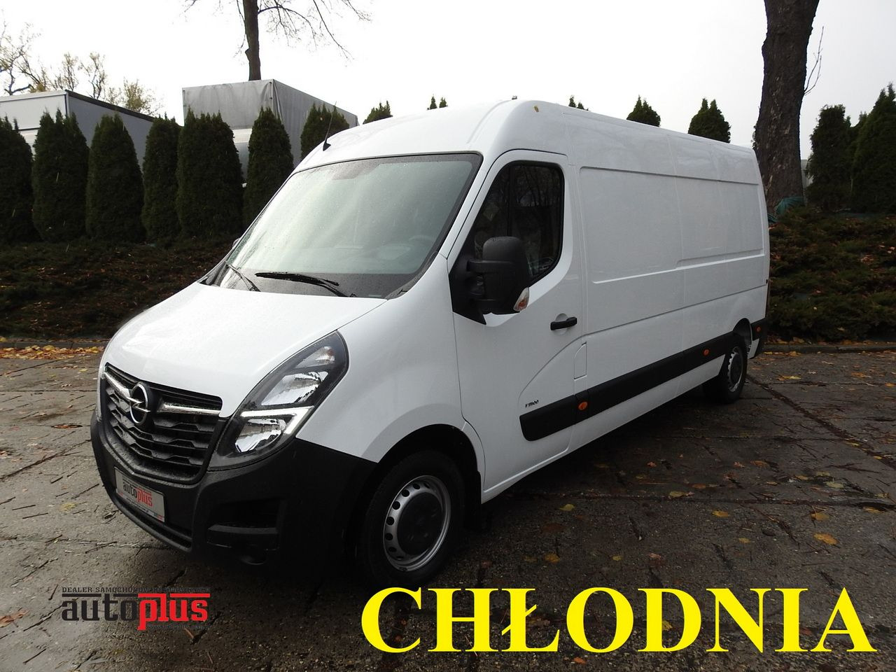 OPEL MOVANO REFRIGERATOR VAN 0*C CRUISE CONTROL LED LIGHTS AIR CONDITIONING 136HP - Refrigerated van: picture 1 OPEL MOVANO REFRIGERATOR VAN 0*C CRUISE CONTROL LED LIGHTS AIR CONDITIONING 136HP - Refrigerated van: picture 1