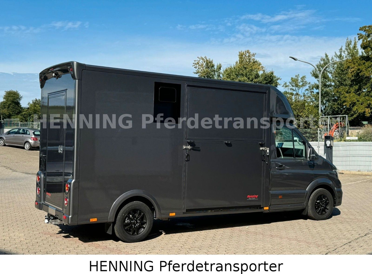 MAN TGE 3 - Sitzer *KLIMA PFERDEABTEIL* - Livestock truck: picture 5 MAN TGE 3 - Sitzer *KLIMA PFERDEABTEIL* - Livestock truck: picture 5