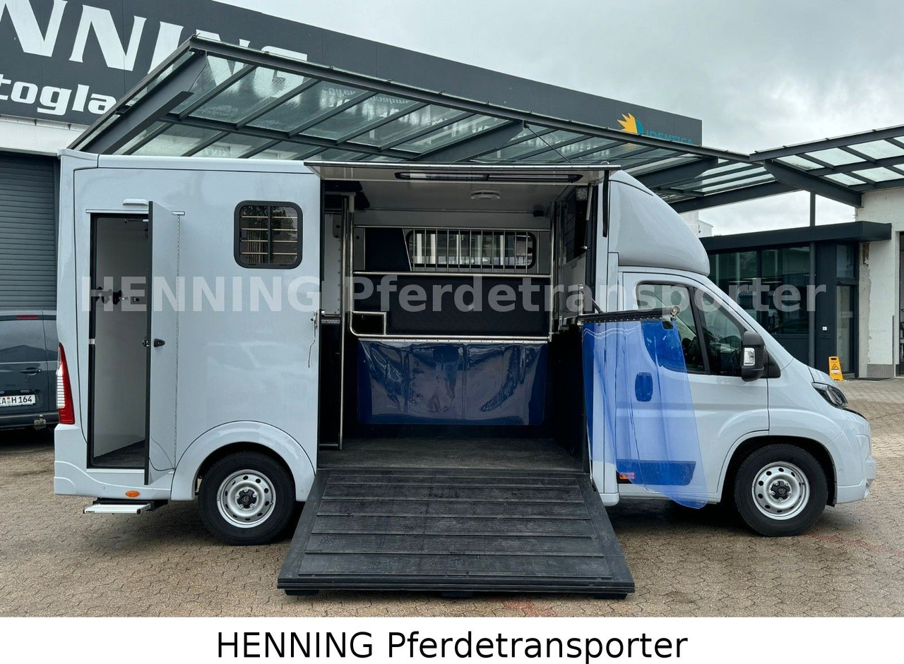 Peugeot Boxer 3 - Sitzer *GROSSE SATTELKAMMER* - Livestock truck: picture 5 Peugeot Boxer 3 - Sitzer *GROSSE SATTELKAMMER* - Livestock truck: picture 5