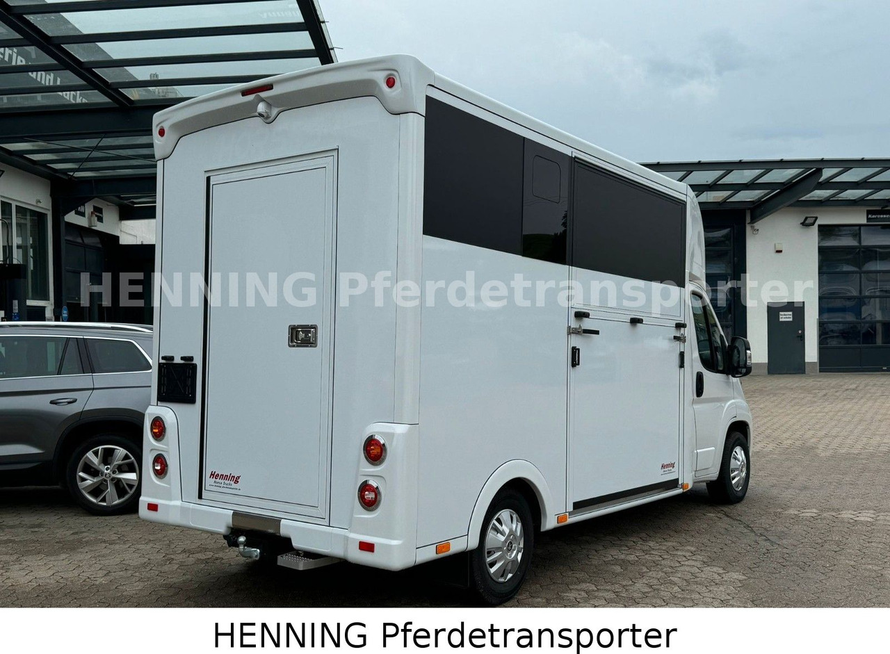 Peugeot Boxer *NEUWAGEN* ca. 1.200kg Nutzlast - Livestock truck: picture 3 Peugeot Boxer *NEUWAGEN* ca. 1.200kg Nutzlast - Livestock truck: picture 3