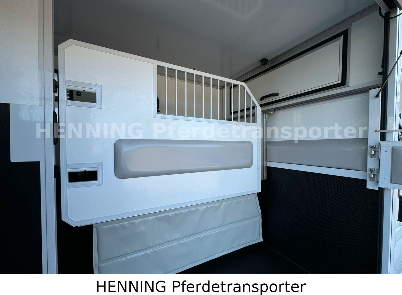 Livestock truck Renault Master 3 - Sitzer *NEUES MODELL*: picture 8 Livestock truck Renault Master 3 - Sitzer *NEUES MODELL*: picture 8