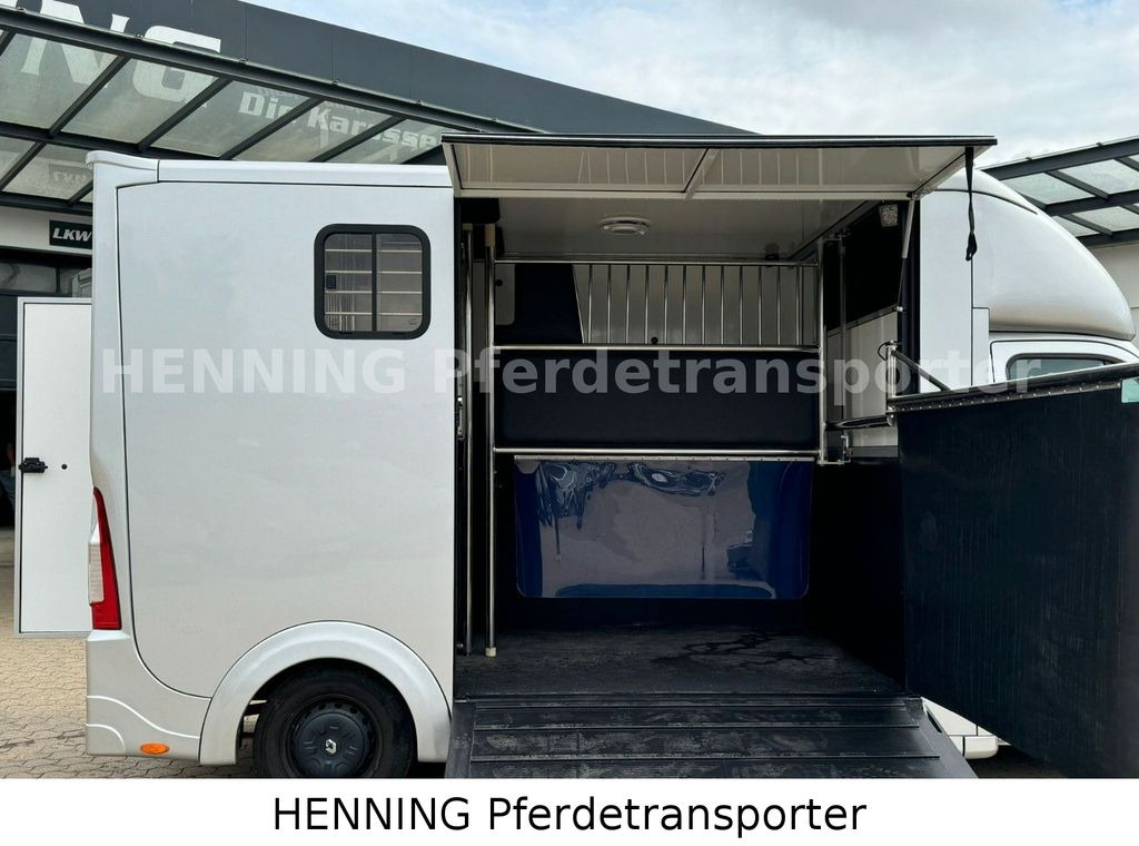 Renault Master 3 - Sitzer Renault Master 3 - Sitzer - Horse truck: picture 5 Renault Master 3 - Sitzer Renault Master 3 - Sitzer - Horse truck: picture 5