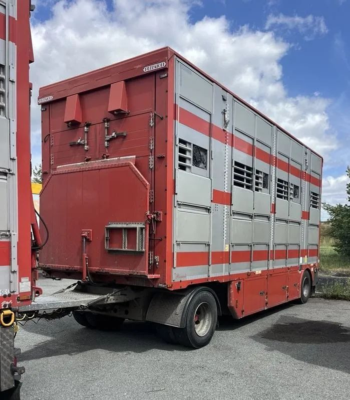 DAF XF 460 + Przyczepa Pezzaoli - 3X Trzoda, 2 X Bydło I 3 poziomy I Podnoszony dach I Hydroburta I Osie Skrętne I Poidła I Wentylatory I Pilot Manualny | Euro5 - Livestock truck: picture 4 DAF XF 460 + Przyczepa Pezzaoli - 3X Trzoda, 2 X Bydło I 3 poziomy I Podnoszony dach I Hydroburta I Osie Skrętne I Poidła I Wentylatory I Pilot Manualny | Euro5 - Livestock truck: picture 4