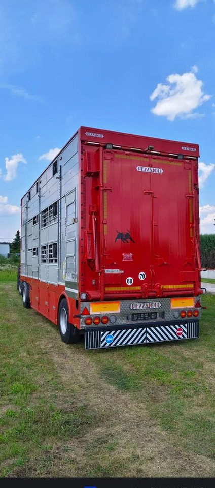 Pezzaioli RBA22 Dwuosiowa Przyczepa – 2x Bydło, 3x Trzoda – 2016r – Bezwypadkowa! - Livestock trailer: picture 5 Pezzaioli RBA22 Dwuosiowa Przyczepa – 2x Bydło, 3x Trzoda – 2016r – Bezwypadkowa! - Livestock trailer: picture 5