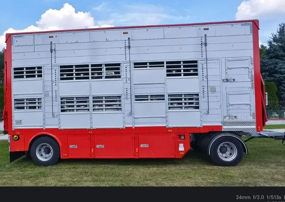 Pezzaioli RBA22 Dwuosiowa Przyczepa – 2x Bydło, 3x Trzoda – 2016r – Bezwypadkowa! - Livestock trailer: picture 3 Pezzaioli RBA22 Dwuosiowa Przyczepa – 2x Bydło, 3x Trzoda – 2016r – Bezwypadkowa! - Livestock trailer: picture 3