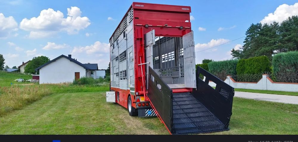 Pezzaioli RBA22 Dwuosiowa Przyczepa – 2x Bydło, 3x Trzoda – 2016r – Bezwypadkowa! - Livestock trailer: picture 1 Pezzaioli RBA22 Dwuosiowa Przyczepa – 2x Bydło, 3x Trzoda – 2016r – Bezwypadkowa! - Livestock trailer: picture 1