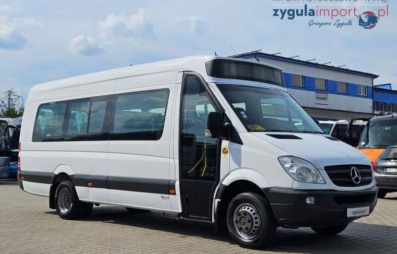 Minibus, Passenger van Mercedes-Benz SPRINTER 513: picture 1