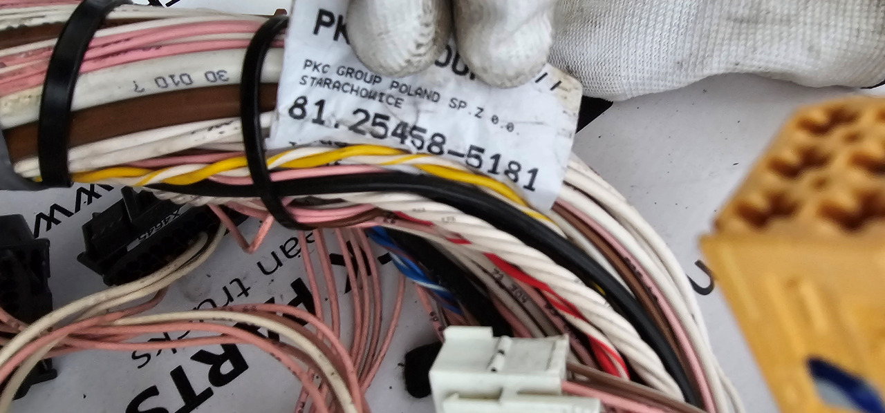 Spare parts for Truck MAN MAN TGX, TGS EURO6 cable harness with connectors inside cab, full set, wiring set electric support 81254586184, 81254585181, 81254566672, 81254595085, 81254585533, 81254566749: picture 10