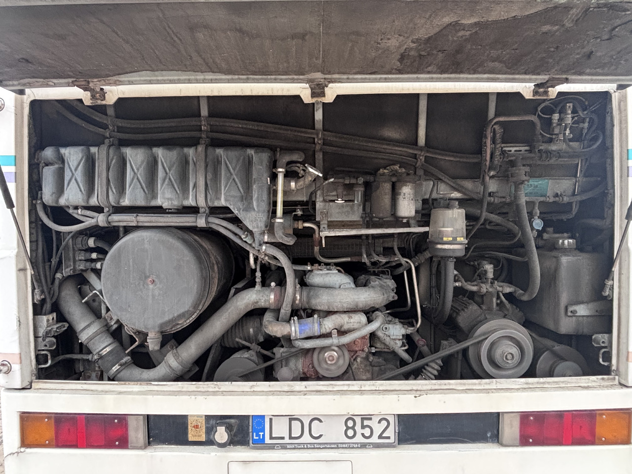 Coach MAN: picture 8 Coach MAN: picture 8