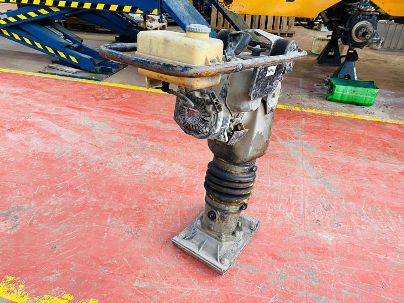 AMMANN Pilonneuse - Rammer: picture 5 AMMANN Pilonneuse - Rammer: picture 5
