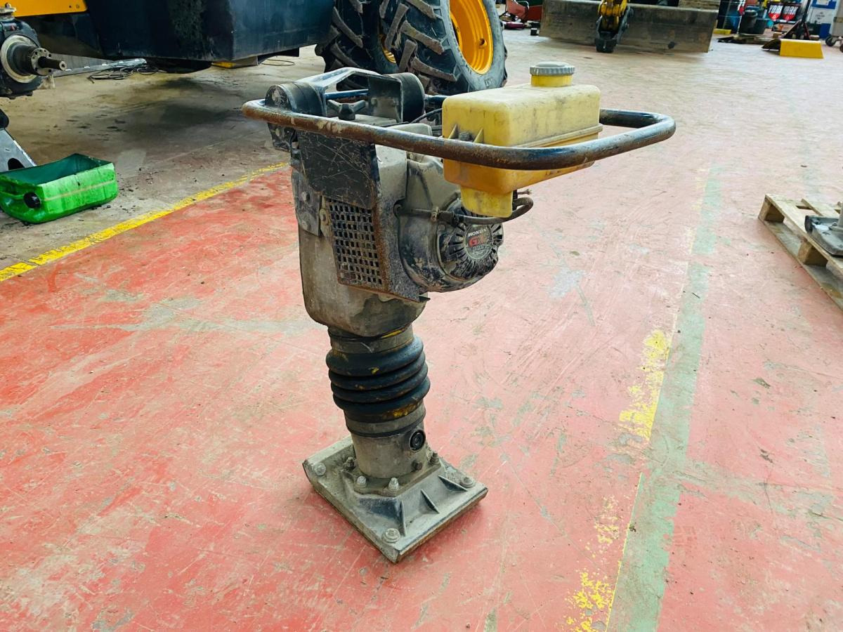 AMMANN Pilonneuse - Rammer: picture 4 AMMANN Pilonneuse - Rammer: picture 4