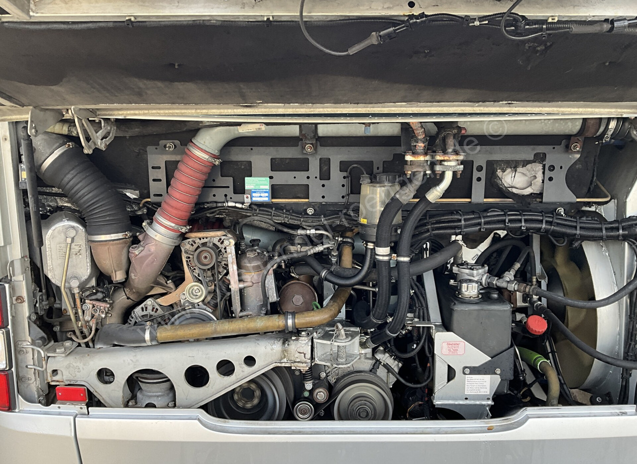 City bus MAN A 21 Lion´s City: picture 9