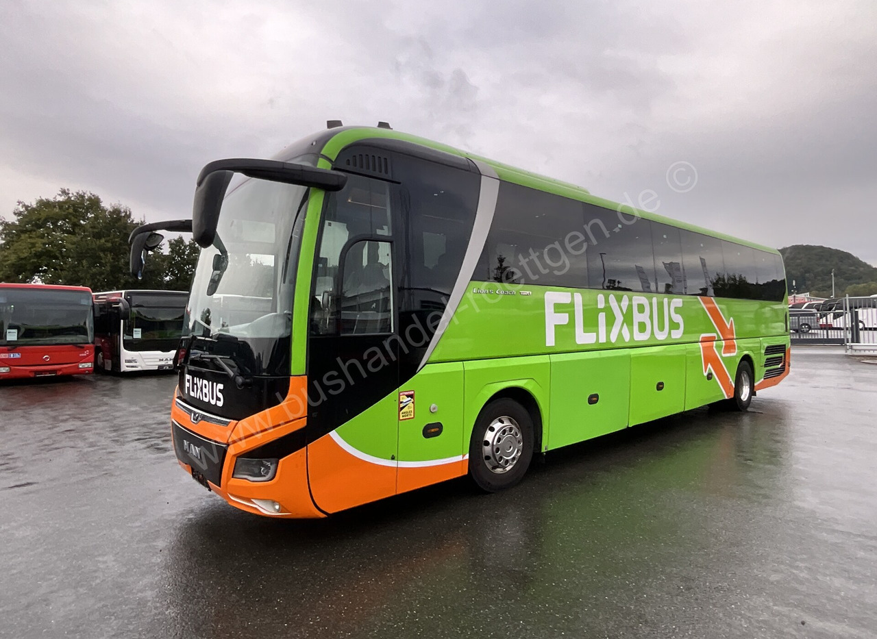 MAN R 10 Lion´s Coach - Coach: picture 2 MAN R 10 Lion´s Coach - Coach: picture 2