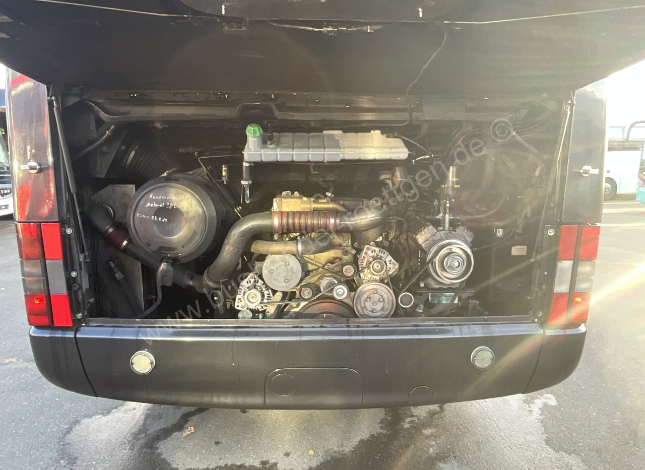 Coach MAN R08 Lion´s Coach: picture 10