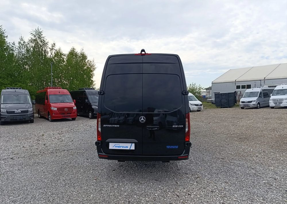New Minibus, Passenger van Mercedes-Benz Sprinter 519: picture 6