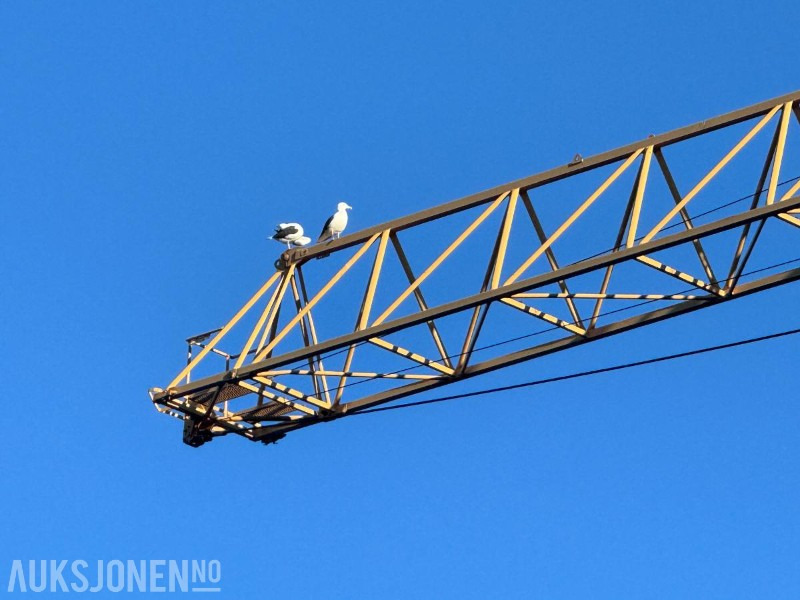 Crane 2000 Liebherr 280 EC-H 16 Litronic Tårnkran med undervogn på plater: picture 14