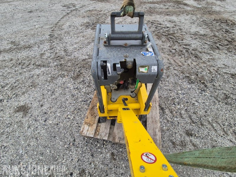 2019 Wacker Neuson DPU3750 / Hoppetusse / Vibroplate / Komprimator - Roller: picture 2 2019 Wacker Neuson DPU3750 / Hoppetusse / Vibroplate / Komprimator - Roller: picture 2